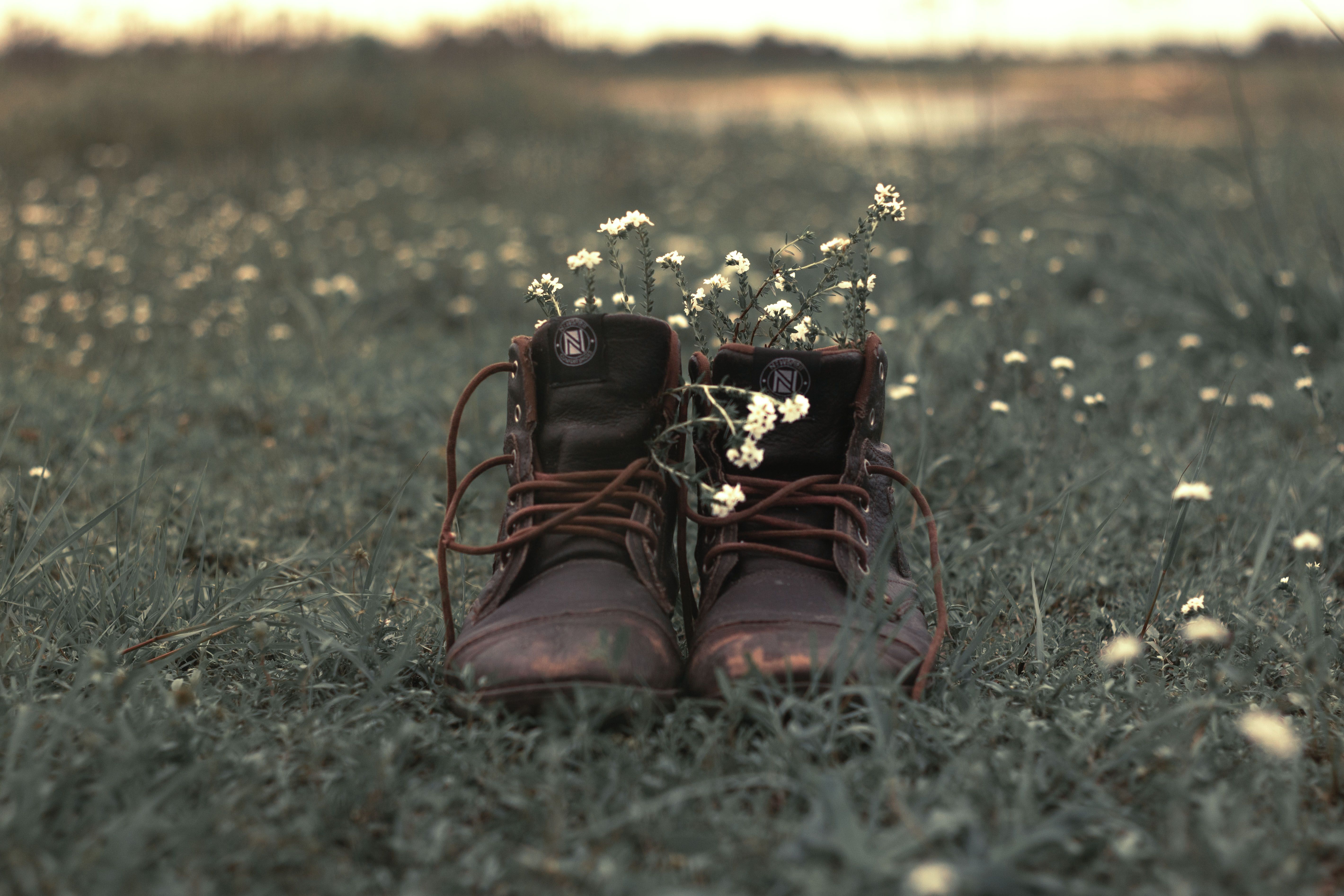 Spring Boot 3.4.4 Release Date, Notes & Upgrade Guide