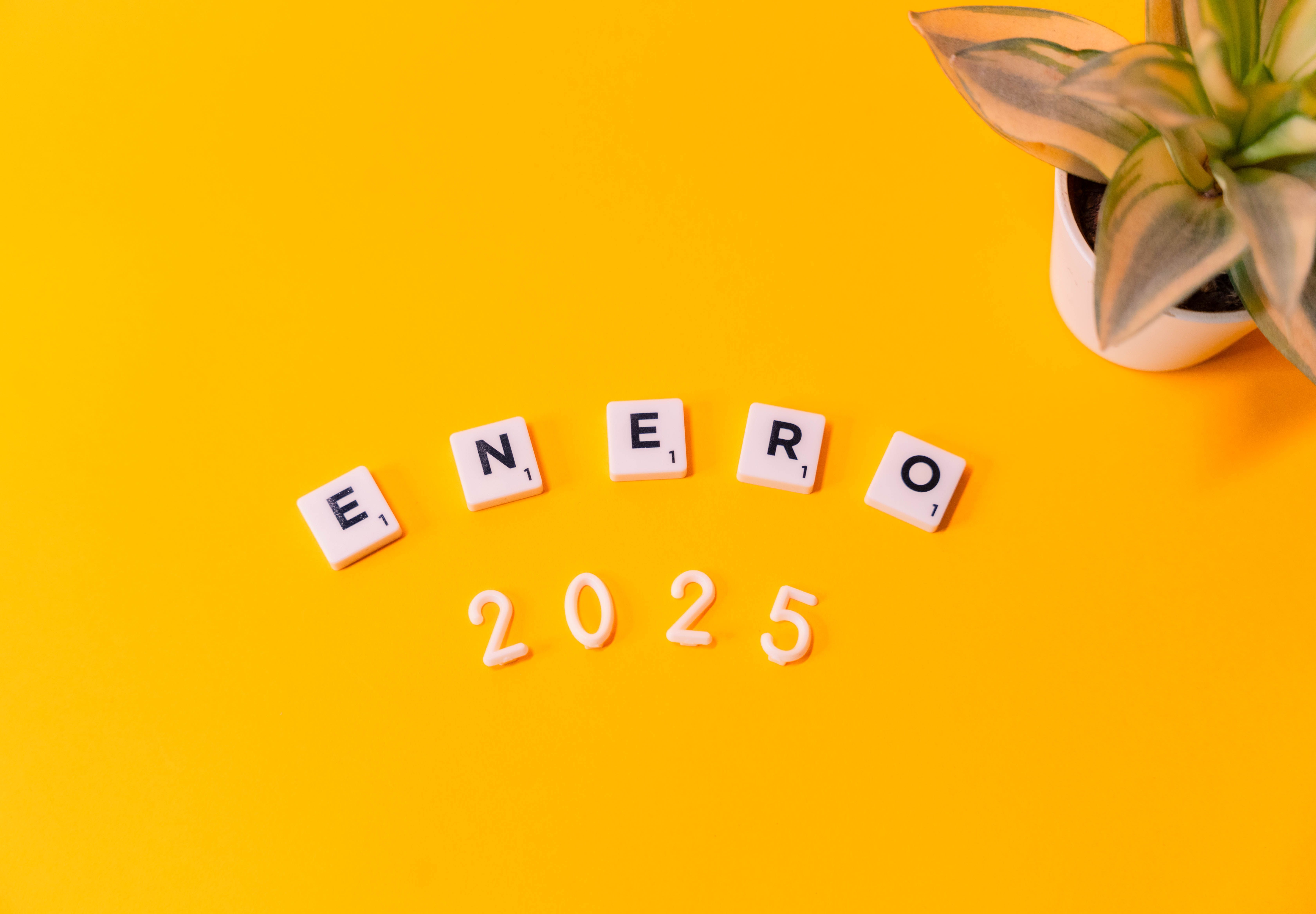 Scrabble tiles spelling 'Enero 2025' on a vibrant yellow background with a plant.