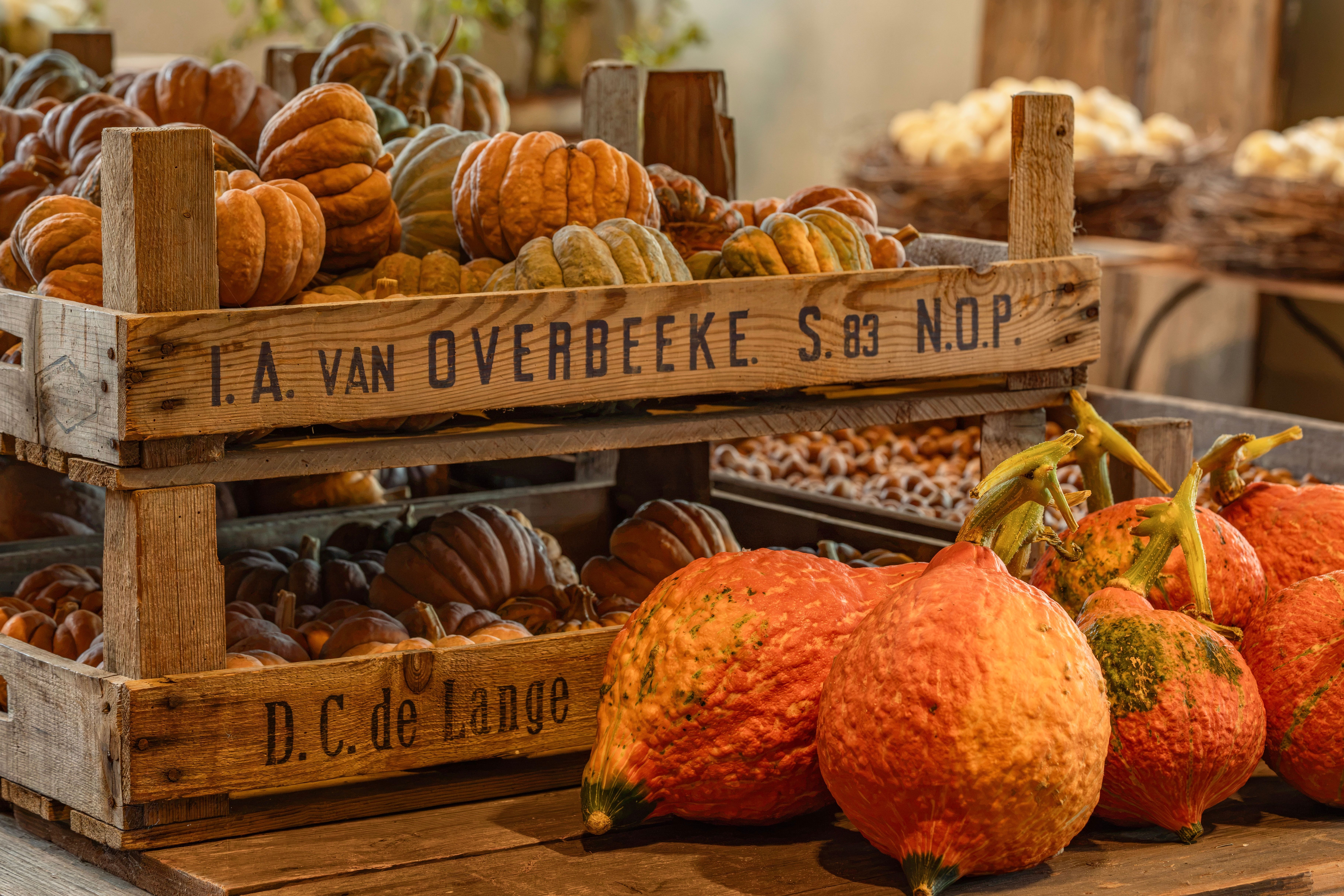 Autumn harvest pumpkins displayed in rustic wooden crates at a market.